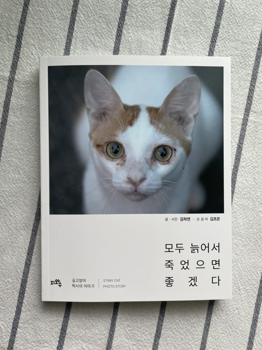 첨부된 사진