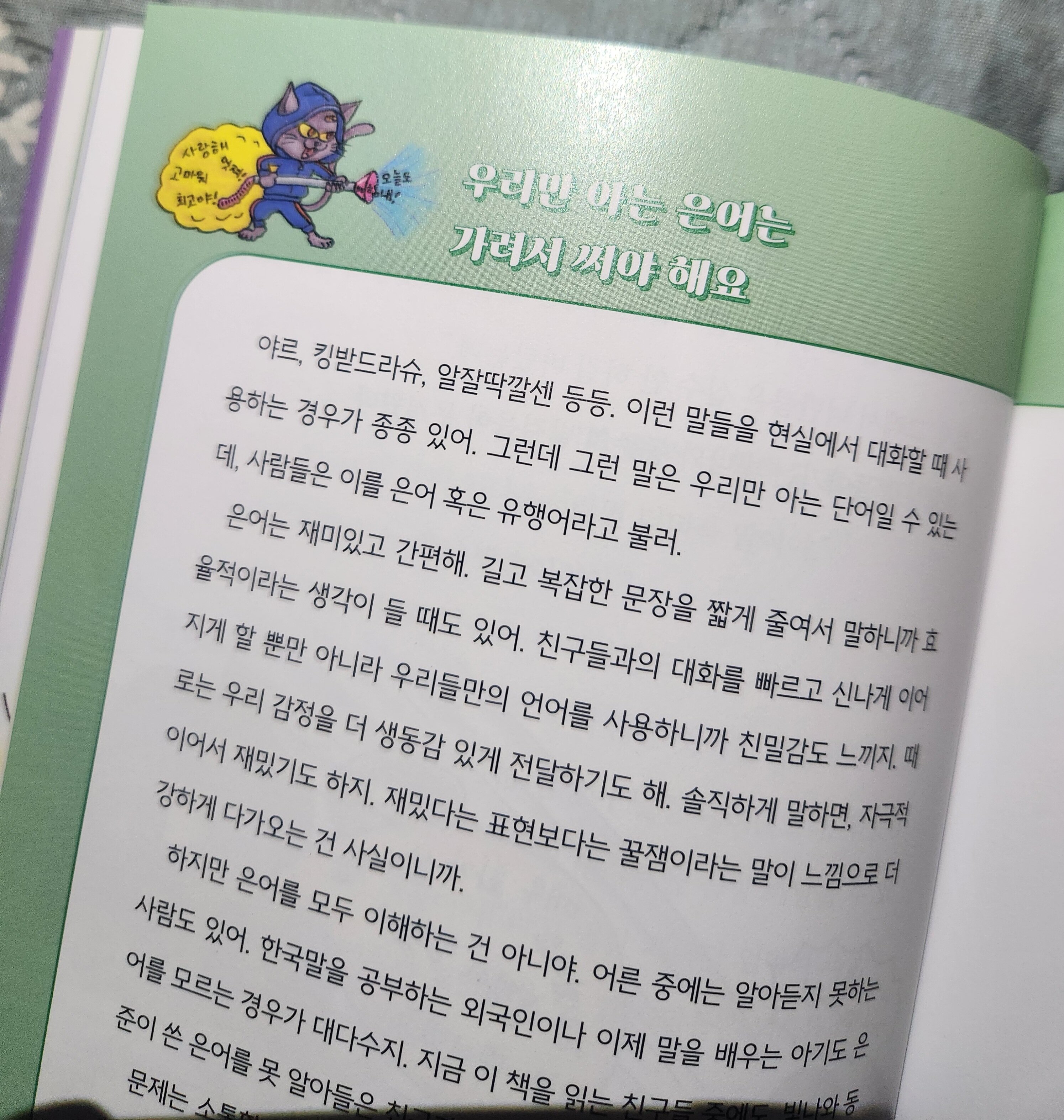 첨부된 사진