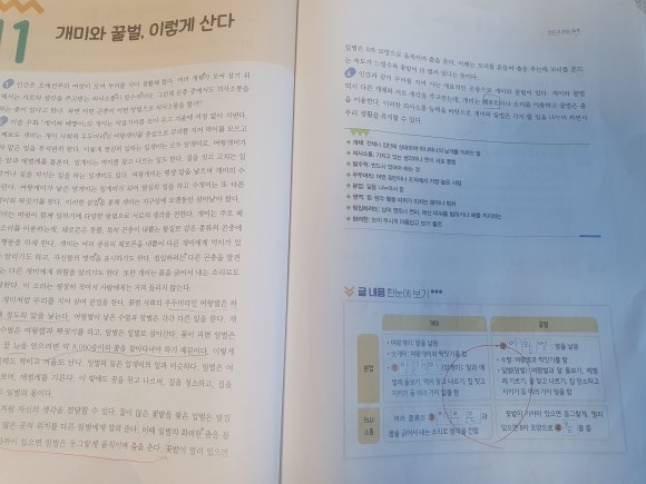 첨부된 사진