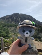 대표사진