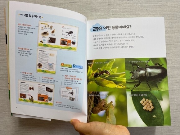 정브르가 알려주는 곤충 체험 백과 - 크레마클럽 정브르가 알려주는 곤충 체험 백과 - 크레마클럽