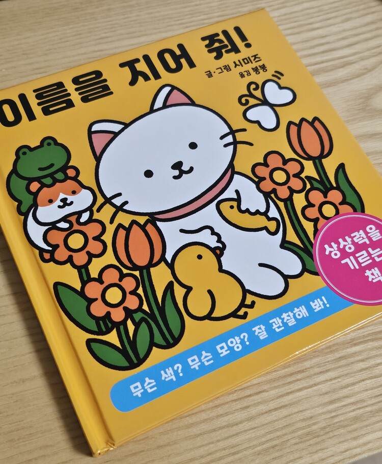 컨텐츠 이미지