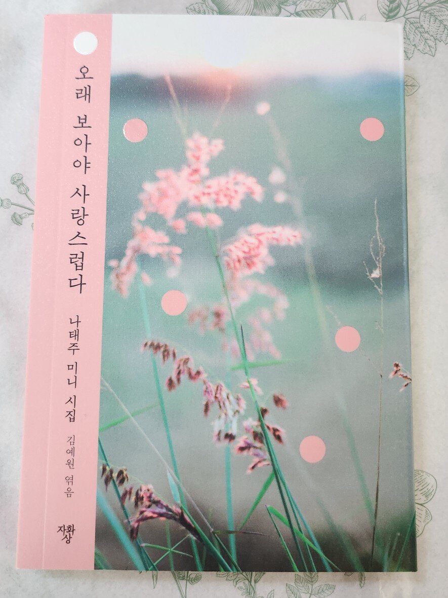 첨부된 사진
