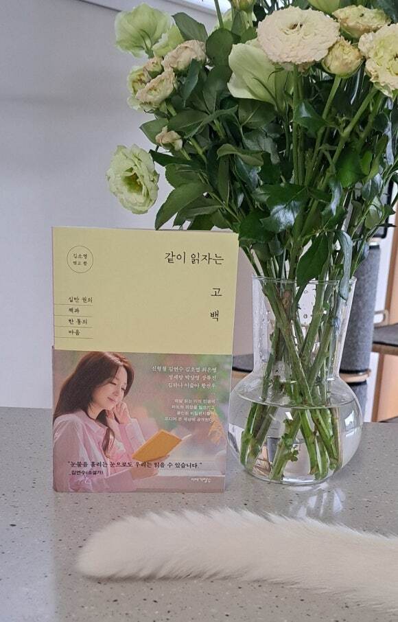 첨부된 사진