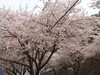 대표사진