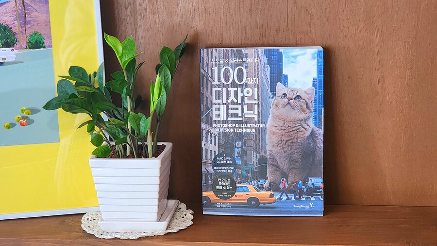 첨부된 사진