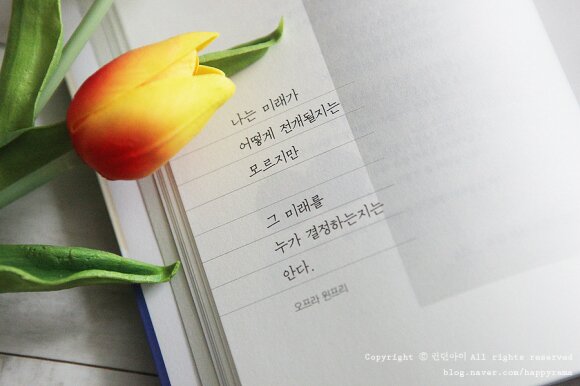 첨부된 사진