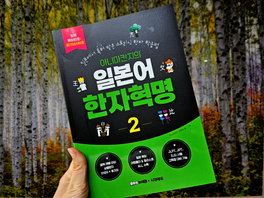 첨부된 사진
