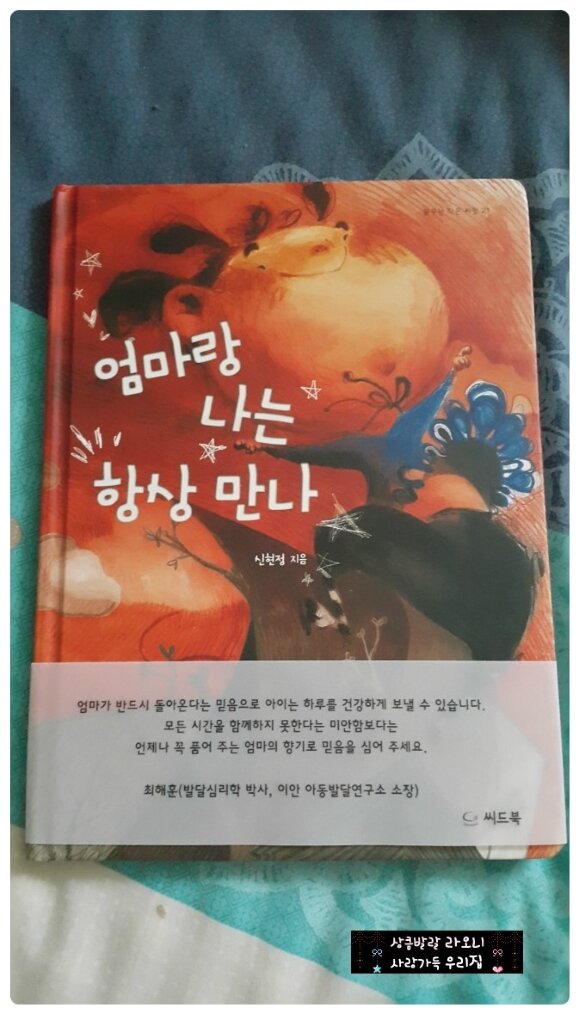 첨부된 사진