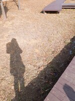 대표사진