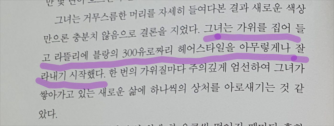 컨텐츠 이미지