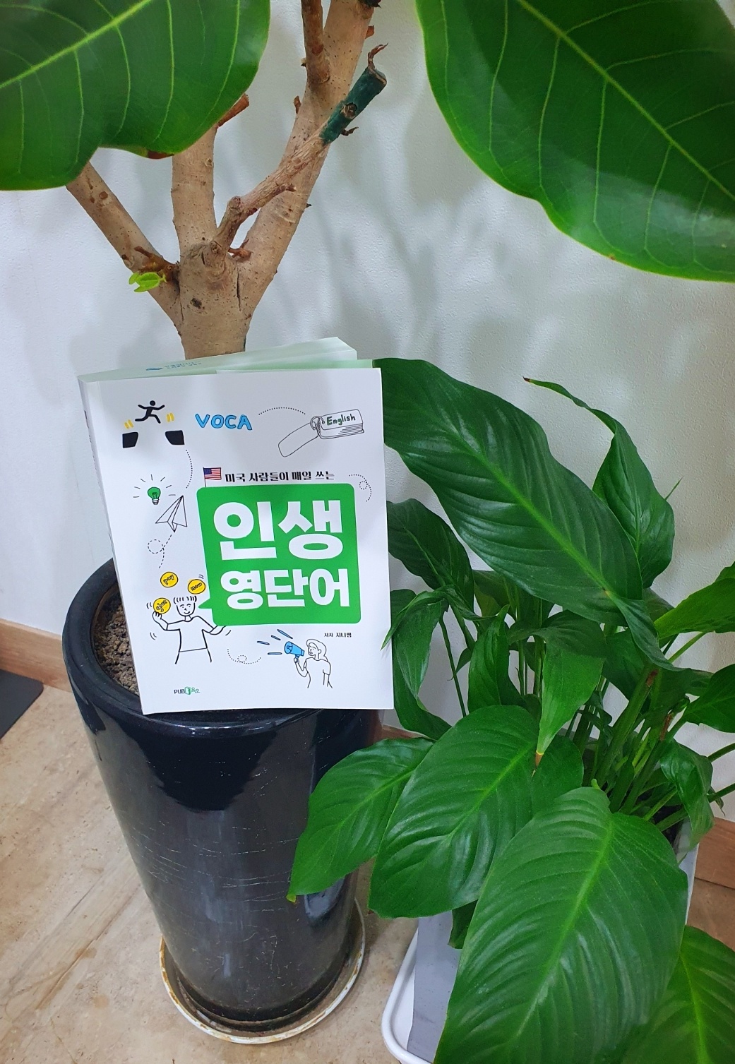 첨부된 사진