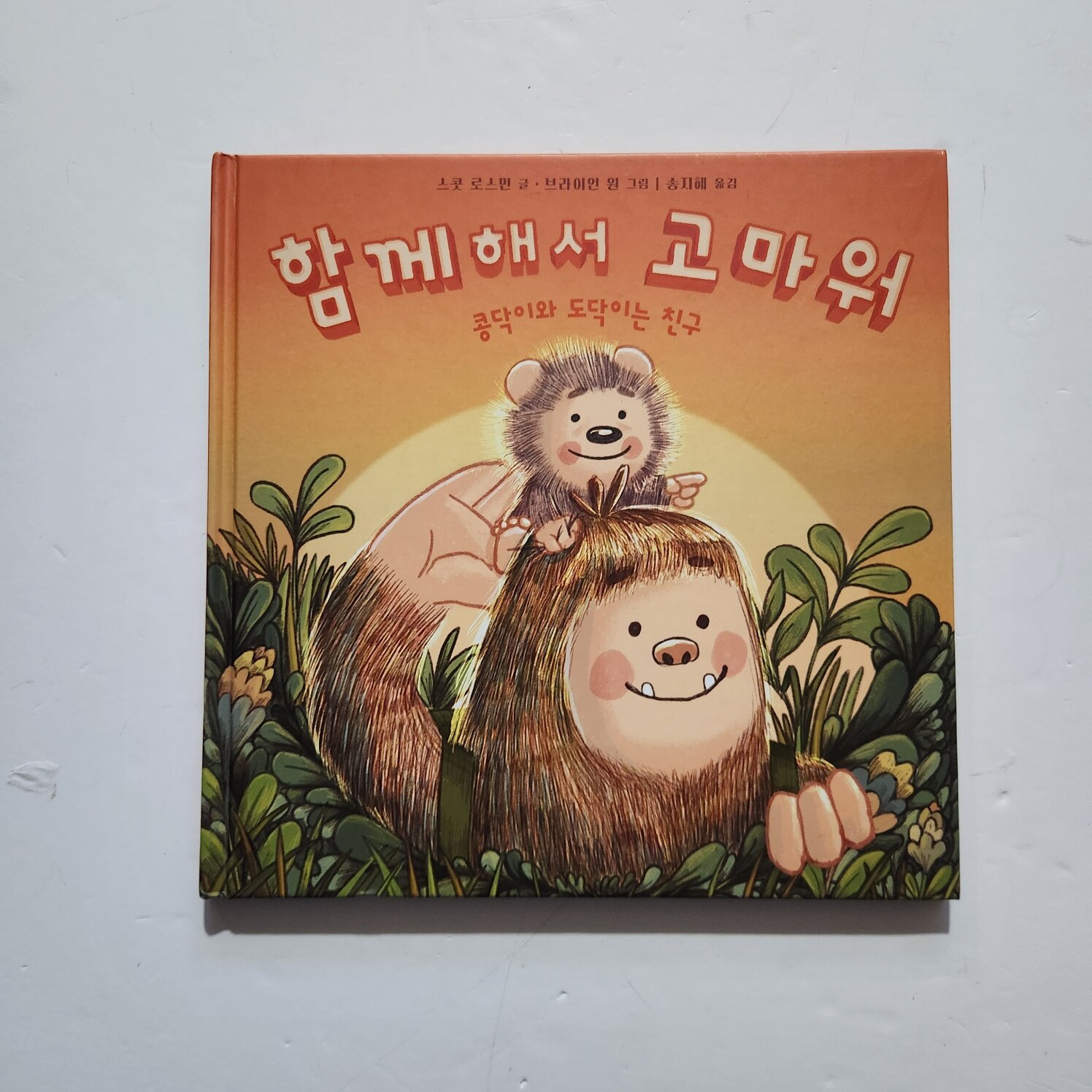 첨부된 사진