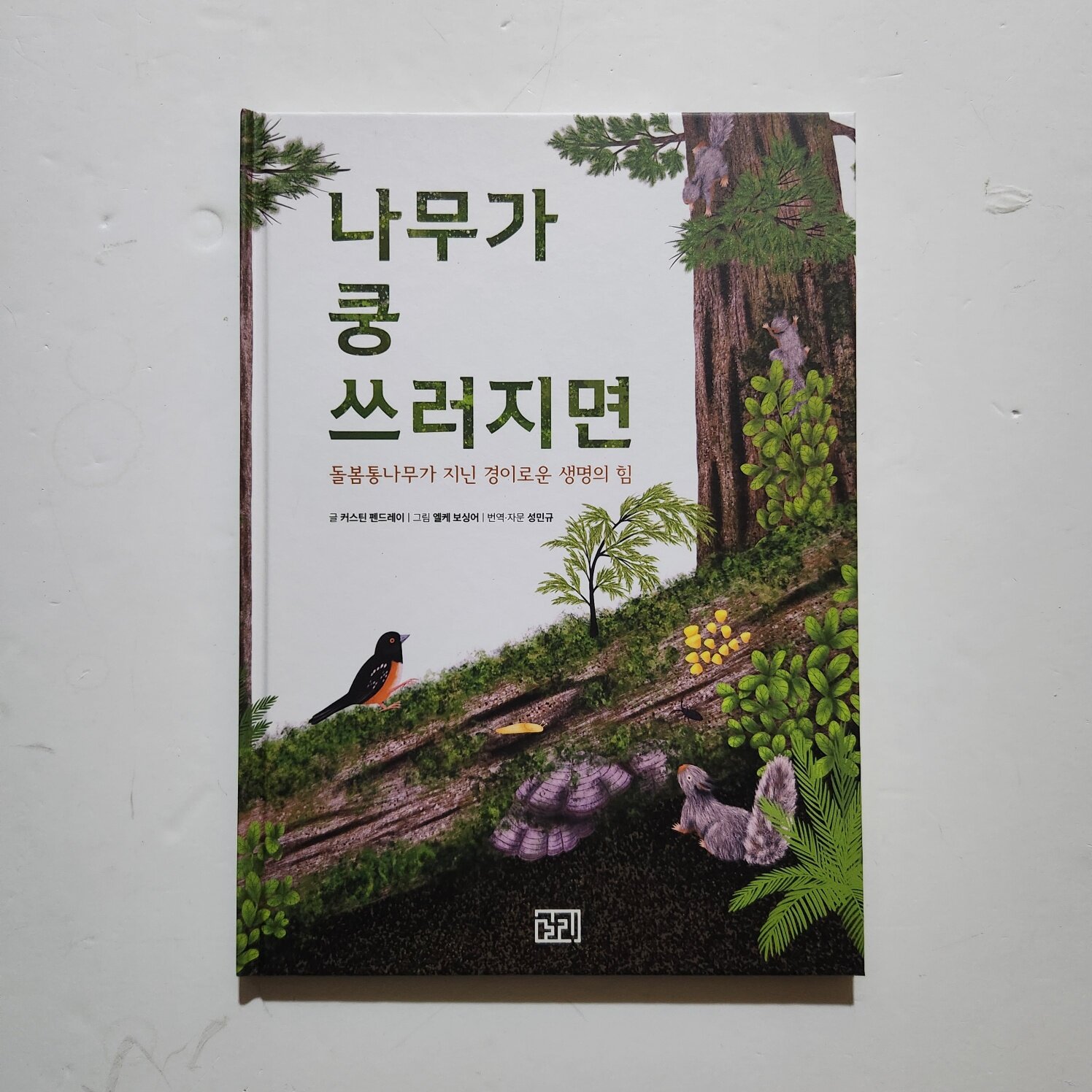 첨부된 사진