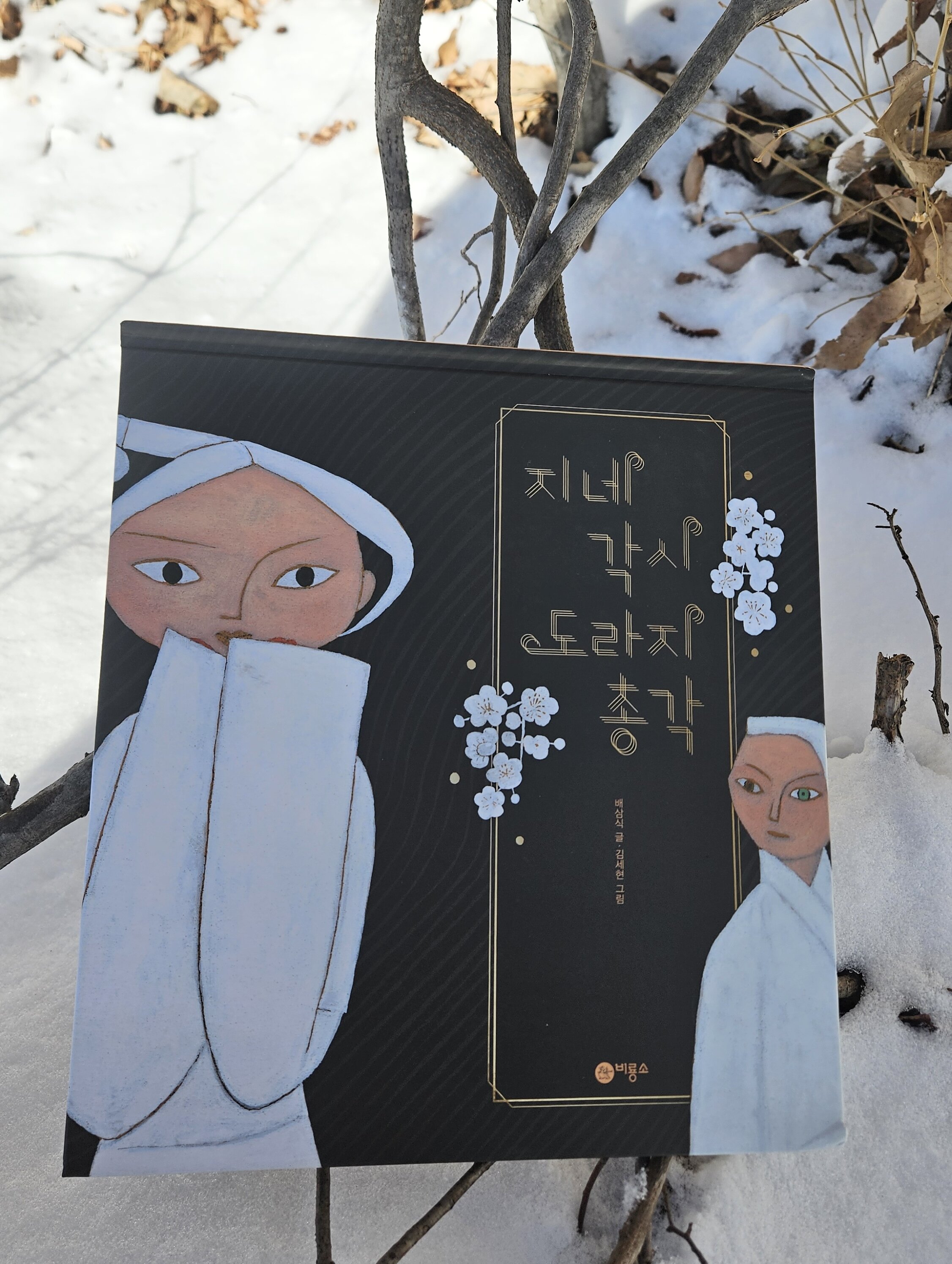 첨부된 사진