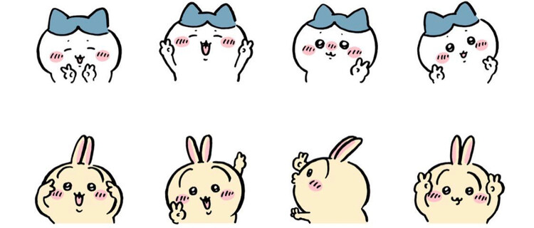 대표사진
