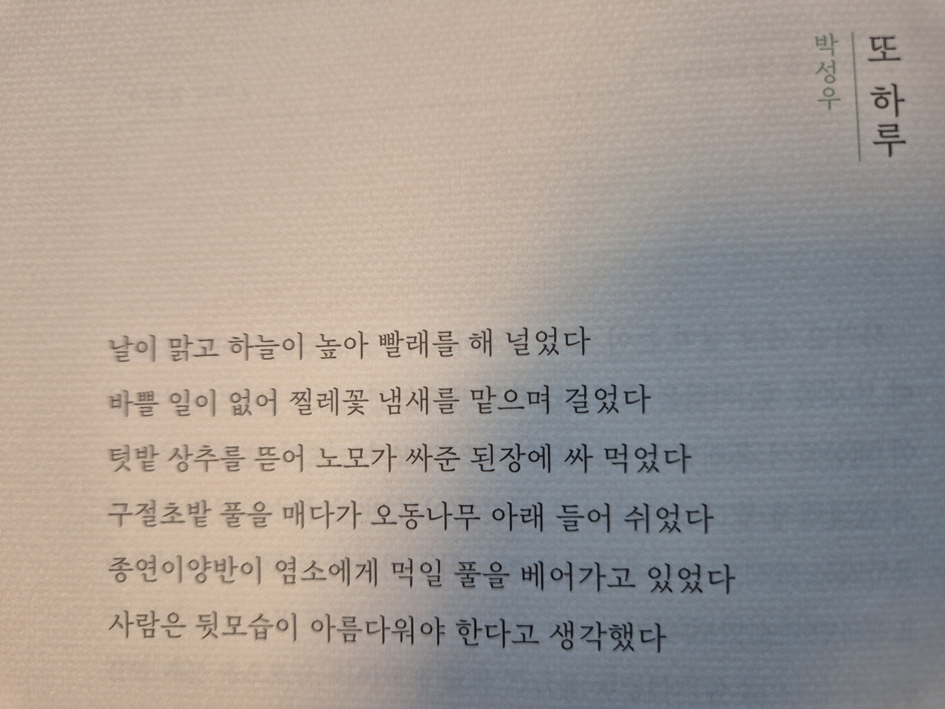 컨텐츠 이미지