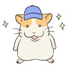 ์ด๋ฏธ์ง