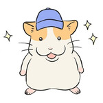 대표사진