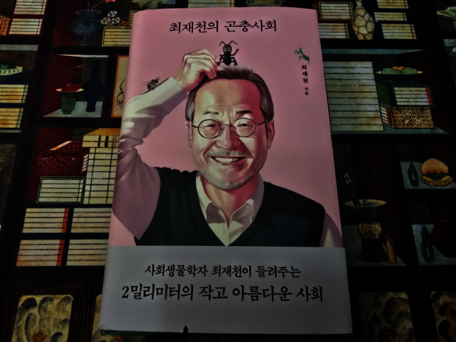 컨텐츠 이미지
