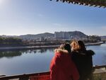 대표사진