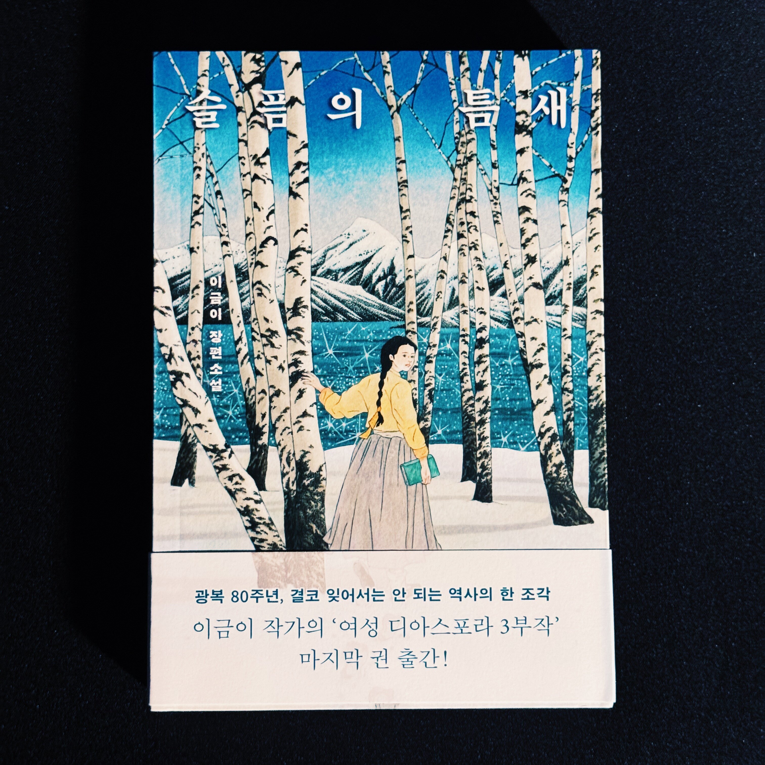 첨부된 사진