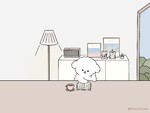 대표사진