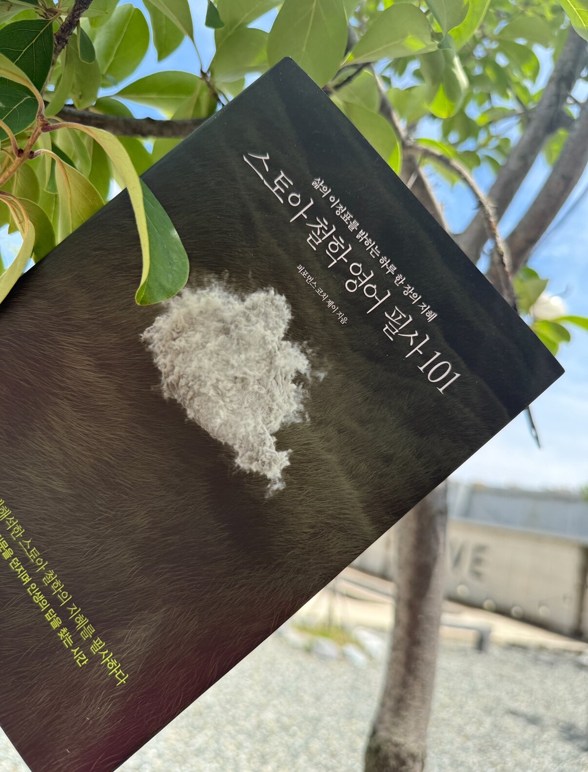 첨부된 사진