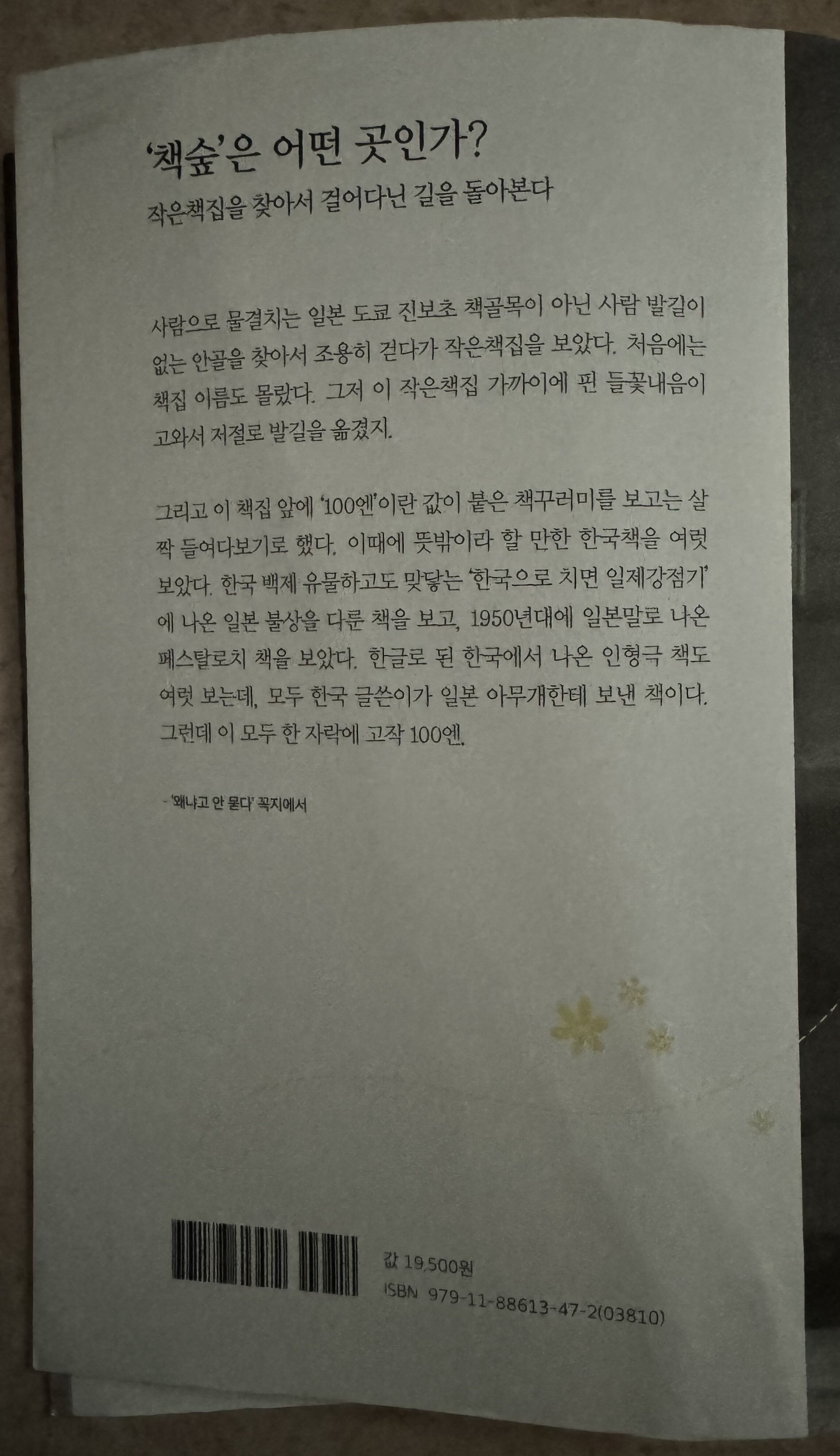 컨텐츠 이미지