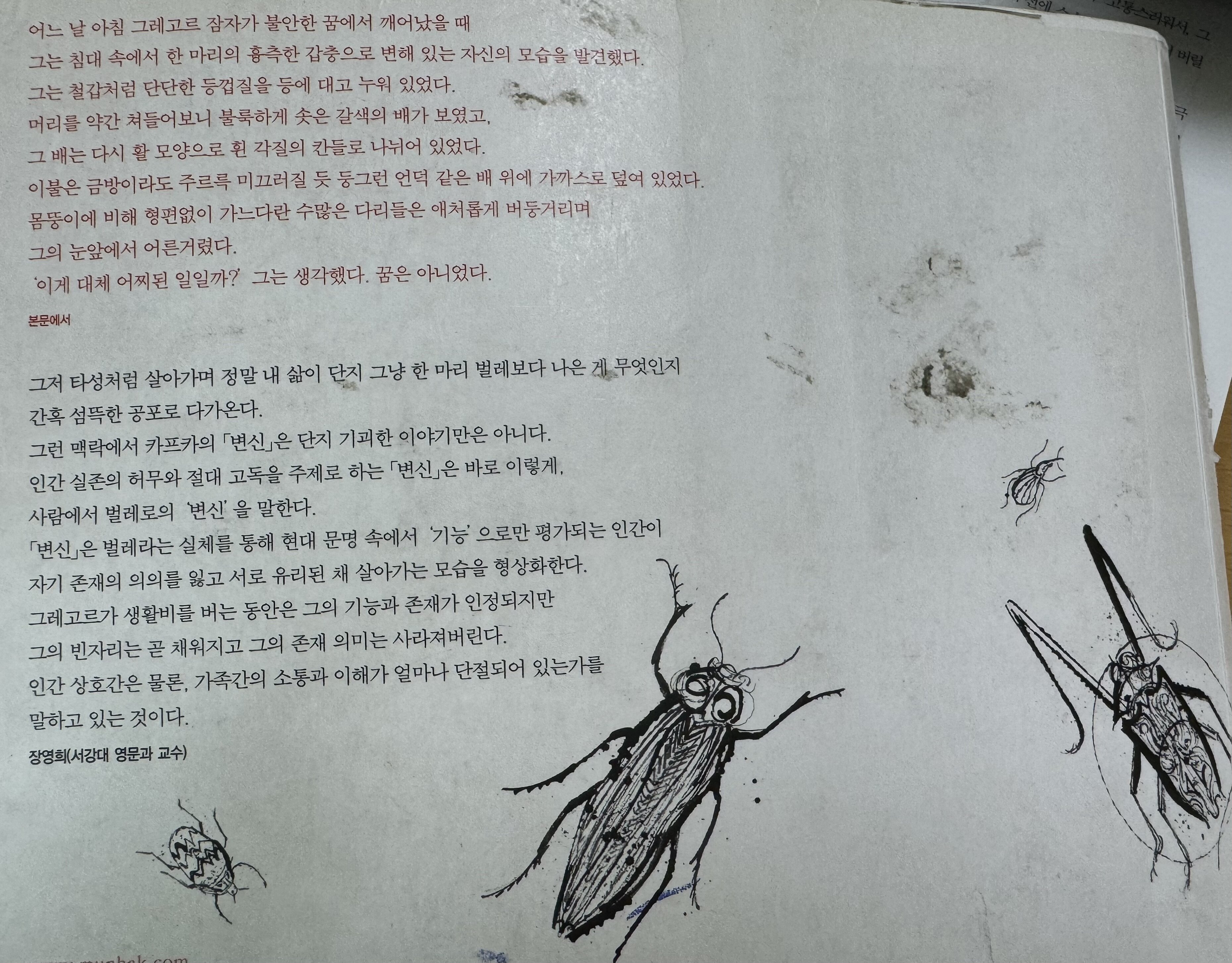 컨텐츠 이미지
