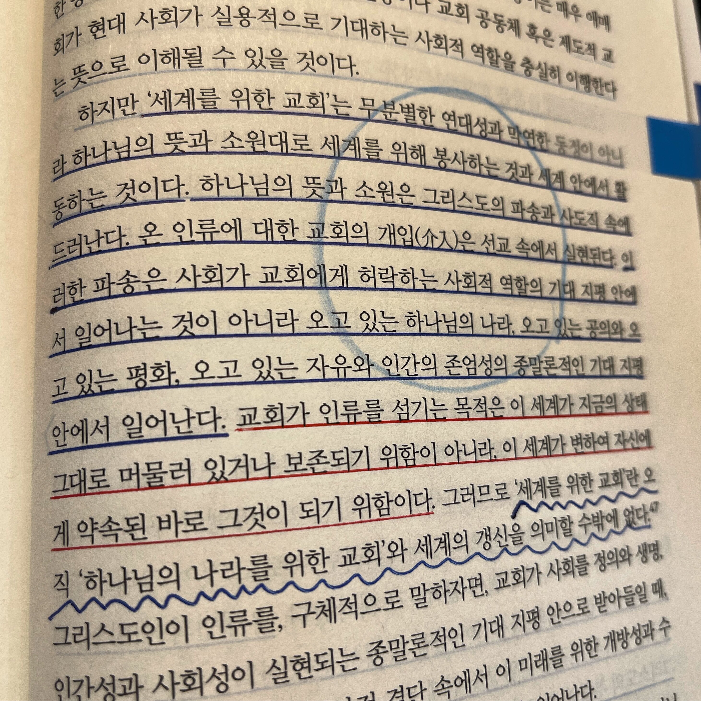 컨텐츠 이미지