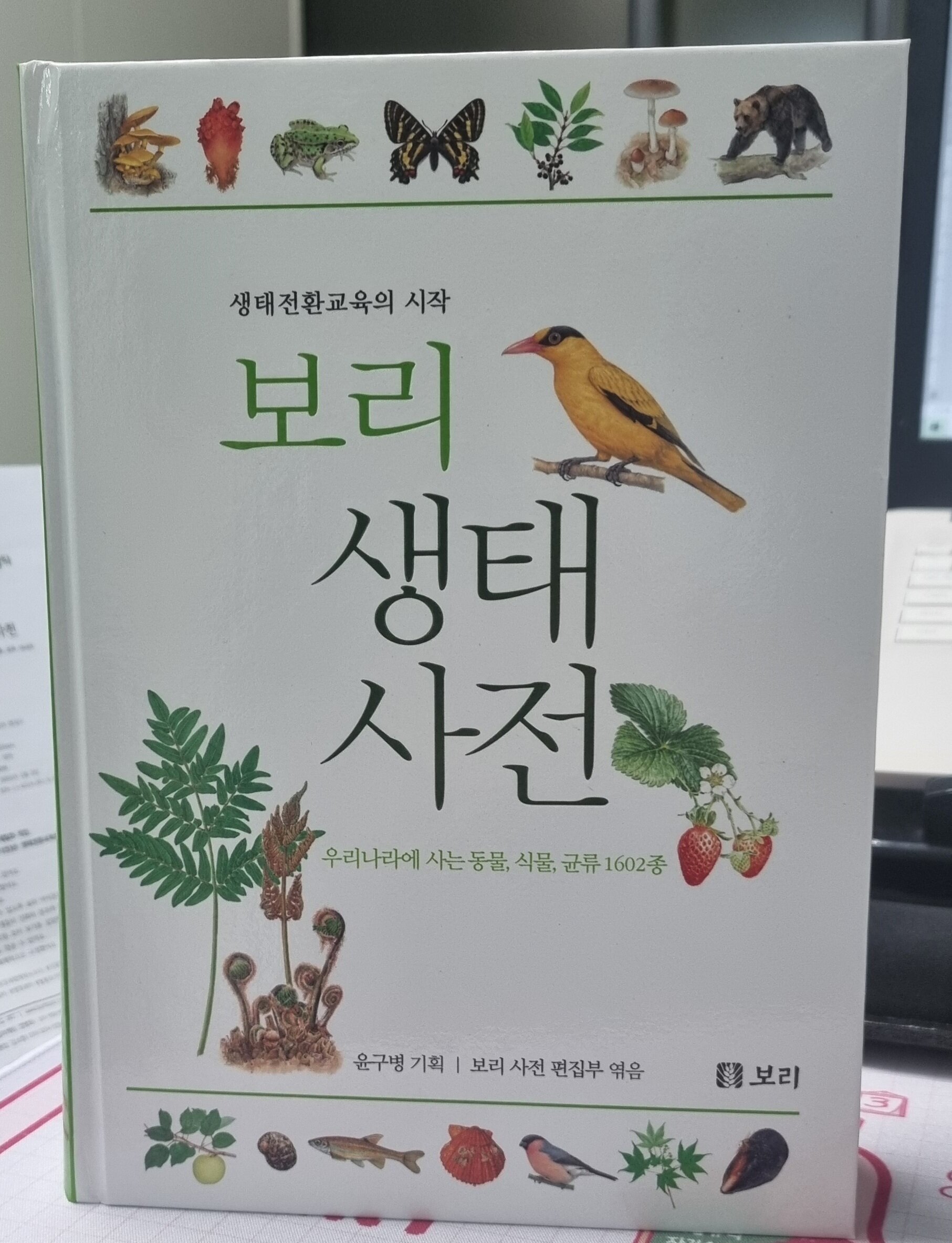 첨부된 사진