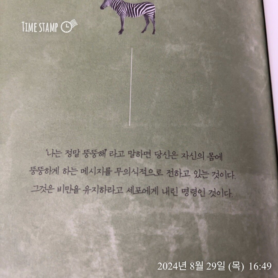 컨텐츠 이미지