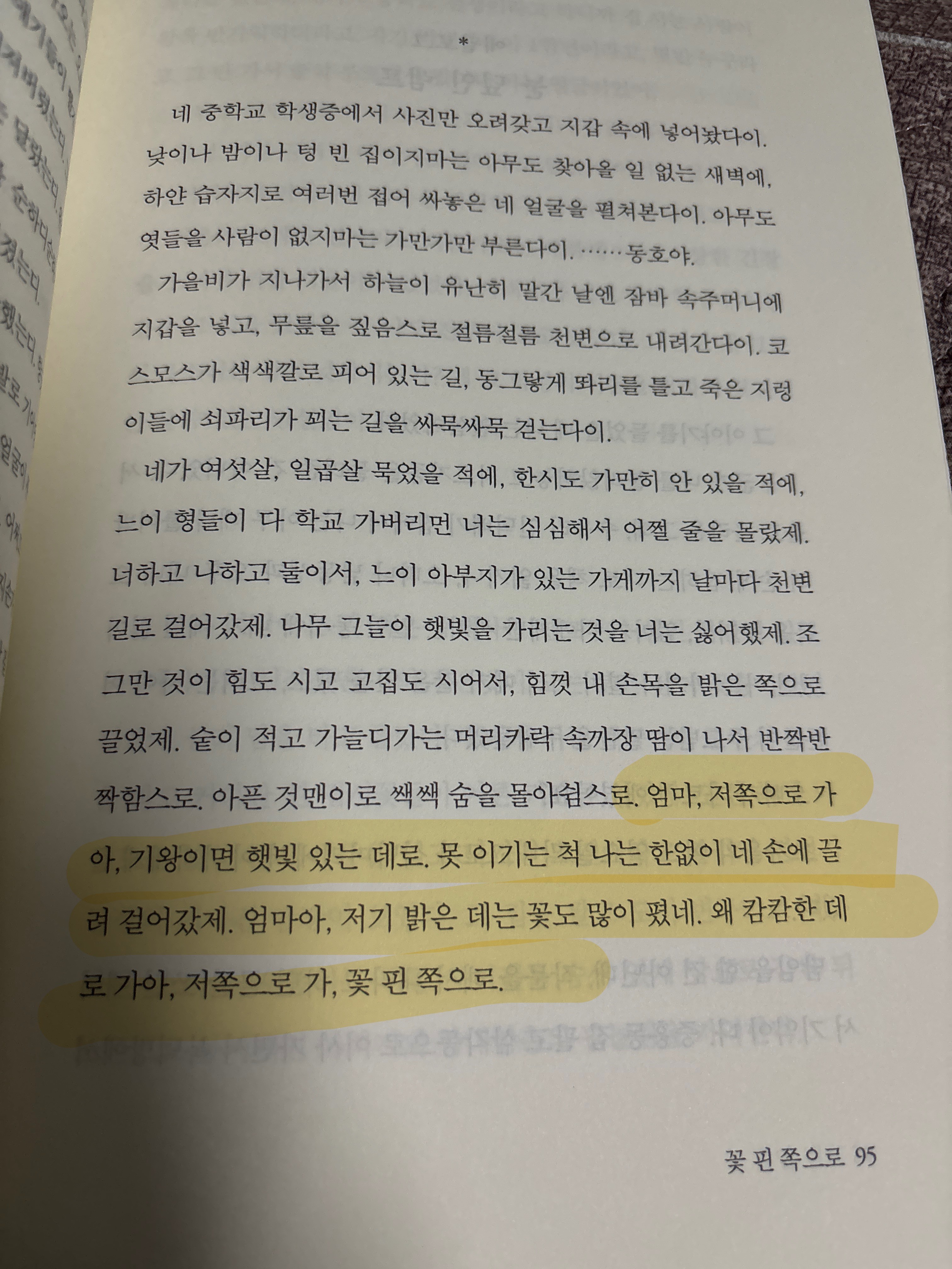 컨텐츠 이미지