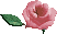 대표사진