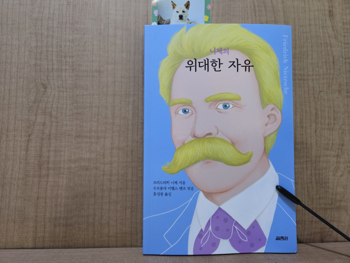 첨부된 사진