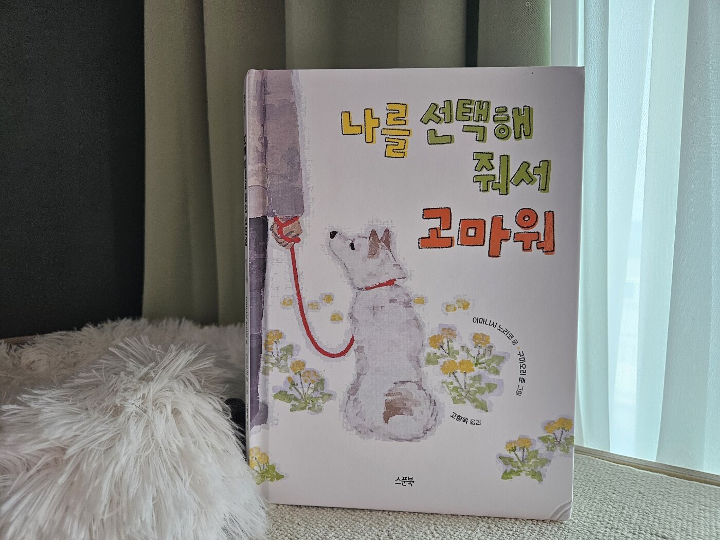 첨부된 사진