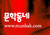 대표사진