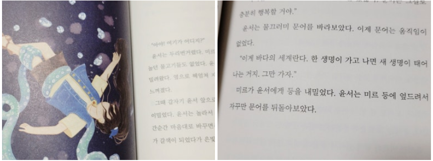 컨텐츠 이미지