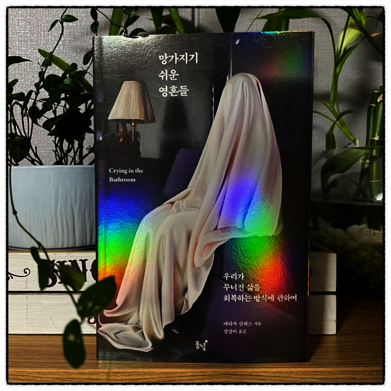 컨텐츠 이미지