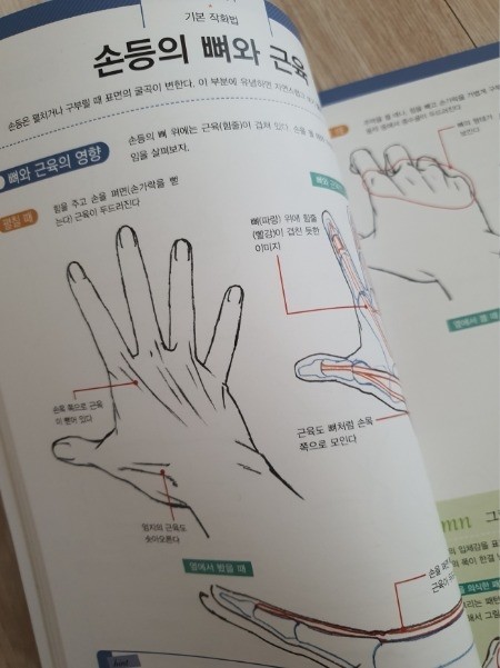 가가미 다카히로가 알려주는 손 그리는 법 도서 리뷰 : [서평] 가가미 다카히로가 알려주는 손 그리는 법 | Yes24 블로그