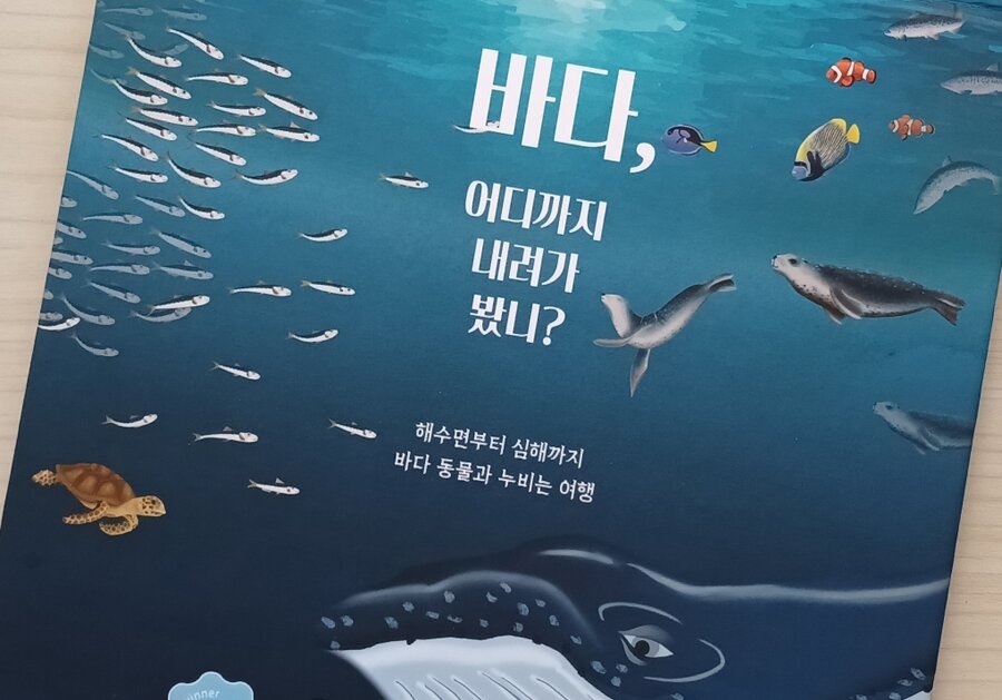 첨부된 사진