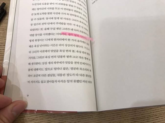 컨텐츠 이미지
