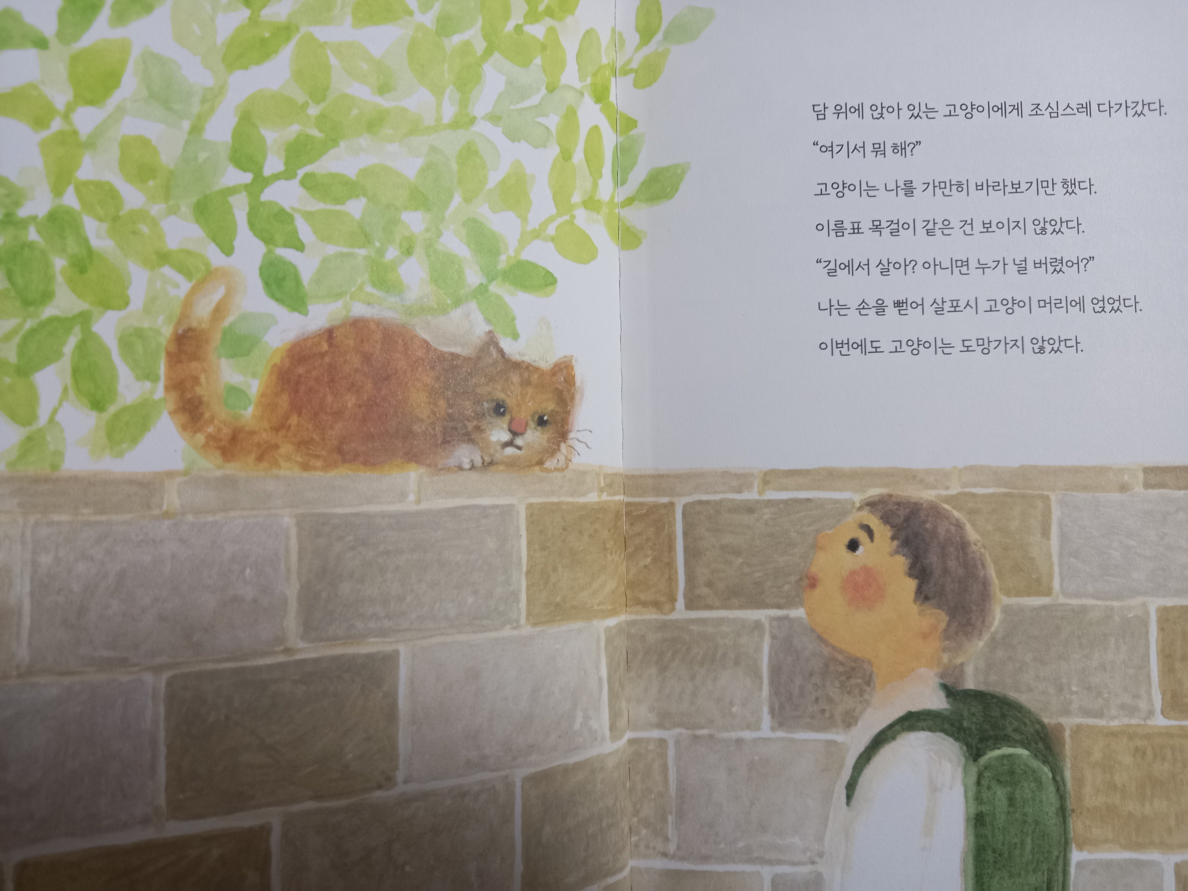 첨부된 사진