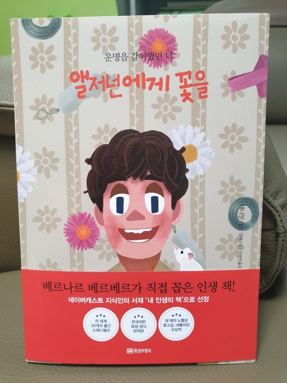 컨텐츠 이미지