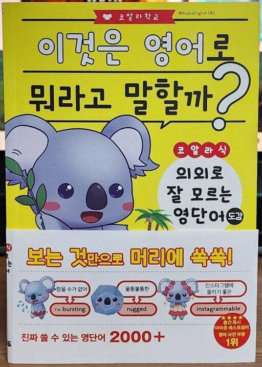 첨부된 사진