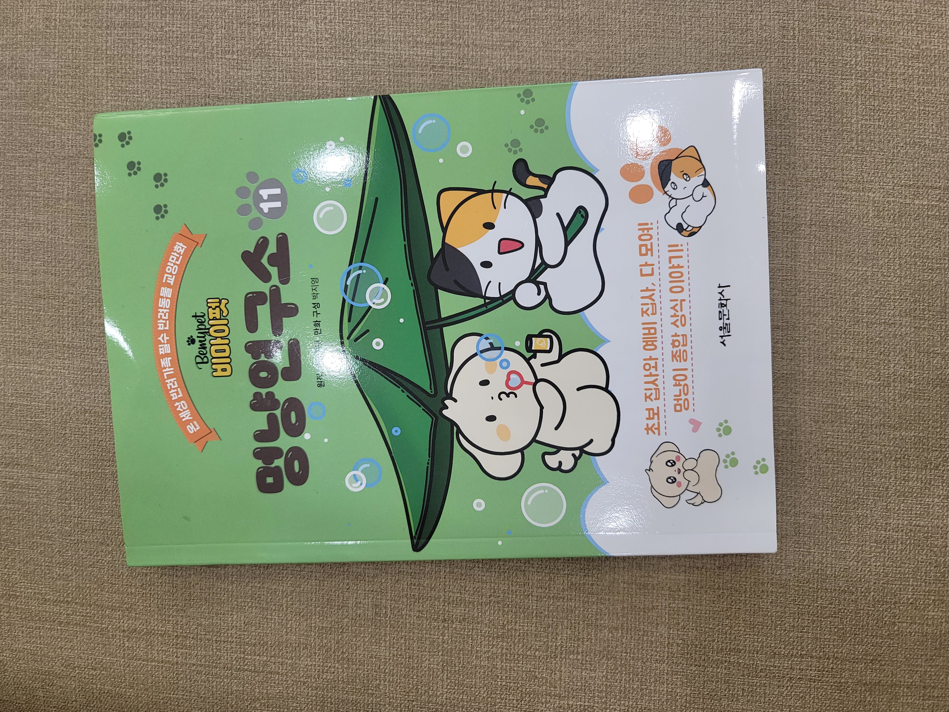 첨부된 사진
