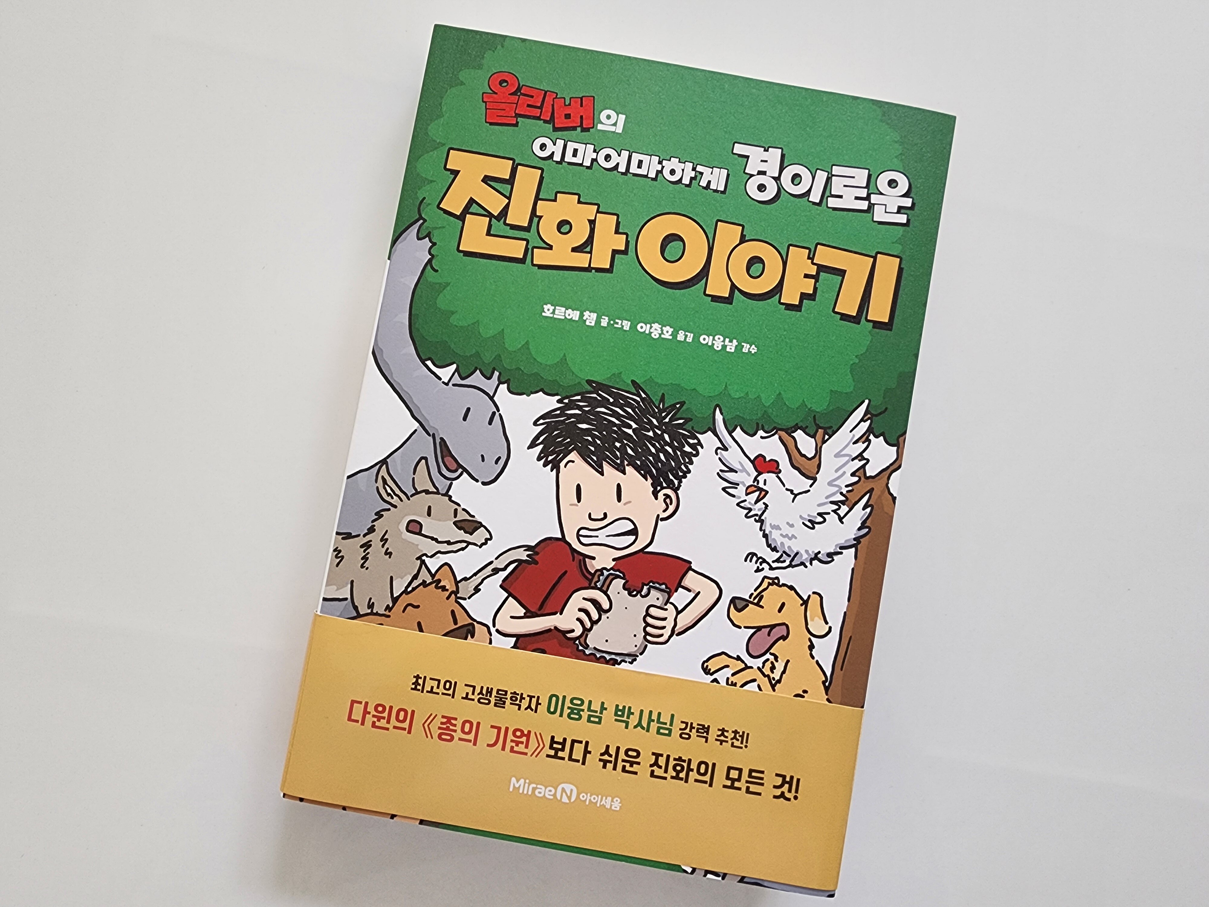 첨부된 사진