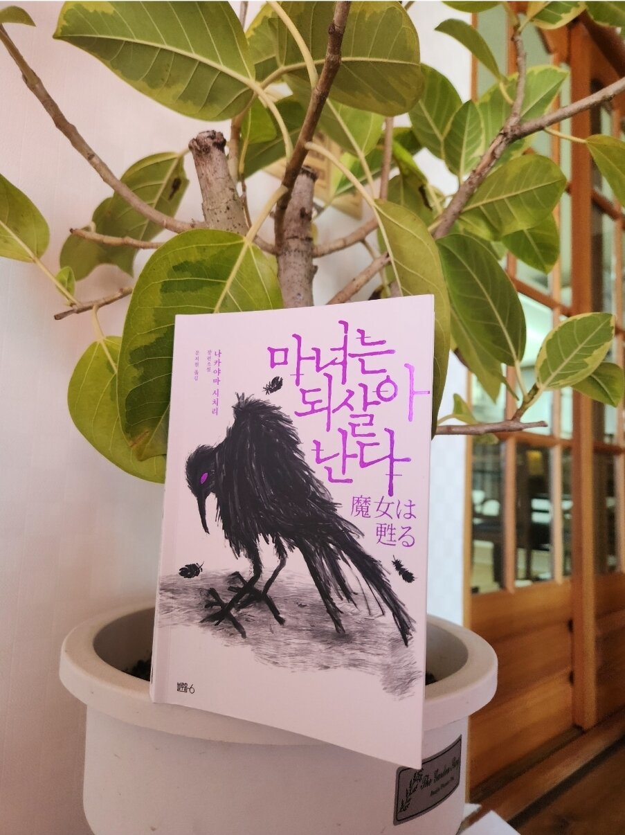 첨부된 사진