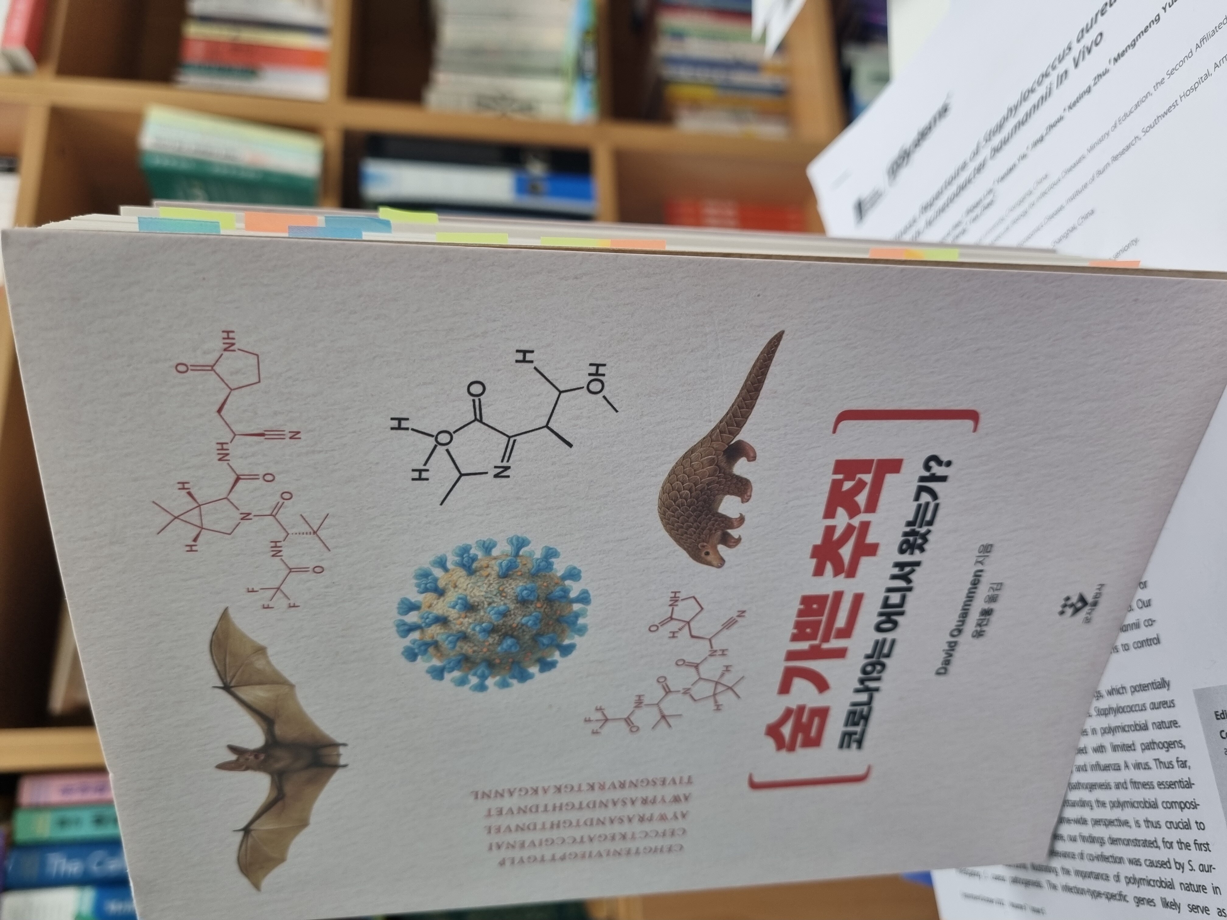 첨부된 사진